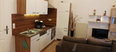 Standard Apartment, Kitchen, Garden View | Private kitchen | Full-size fridge, microwave, stovetop, dishwasher