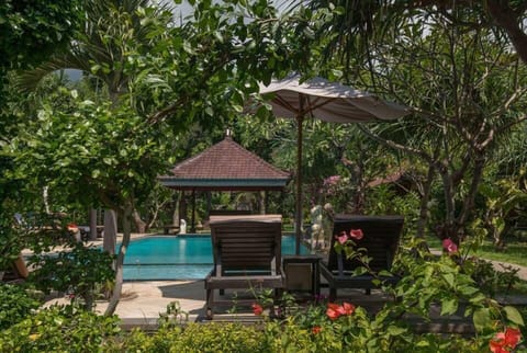 Outdoor pool, sun loungers