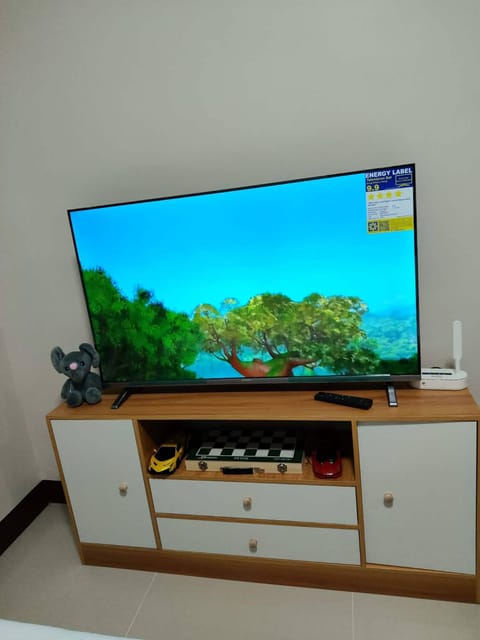 Television