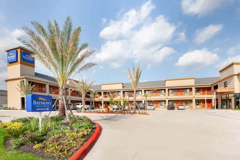 Daytime exterior view with parking, palm trees, and clear sky
