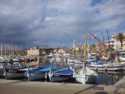 Marina
