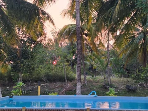 Cabin, Patio, Canal View | Pool | Outdoor pool