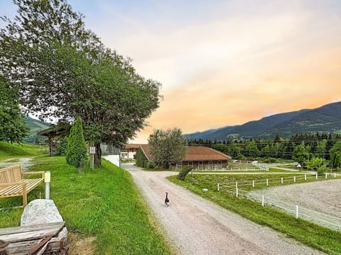 Architecture, Residential Area, House, Home, Roof, Cottage, Estate, Garden, Yard, Backyard