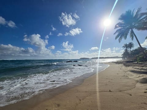 28-photo