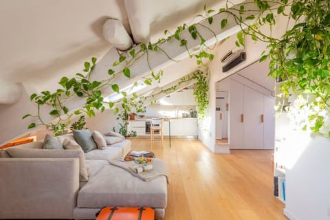 Entrance and living room