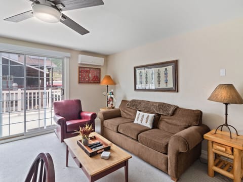 Living Area / Sofa Sleeper
