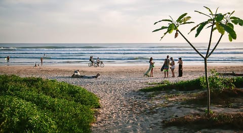 On the beach, surfing