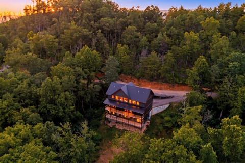 High-altitude aerial view showcasing the cabin nestled deep within dense green forest.