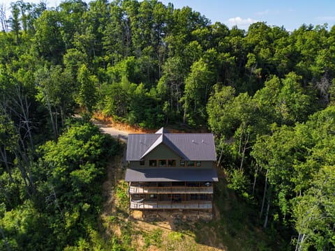 High-altitude aerial view showcasing the cabin nestled deep within dense green forest. (1940)