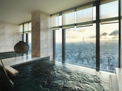 Sauna, hot tub, steam room, body treatments, aromatherapy