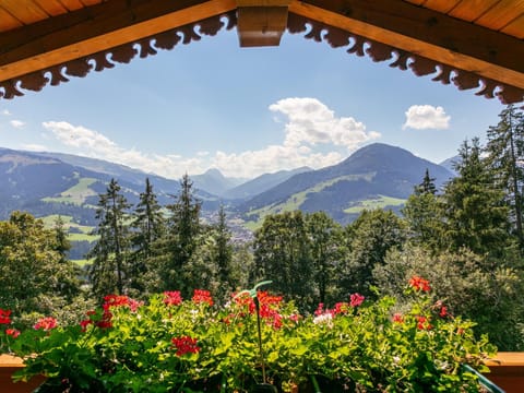 View from Holiday Home [summer]