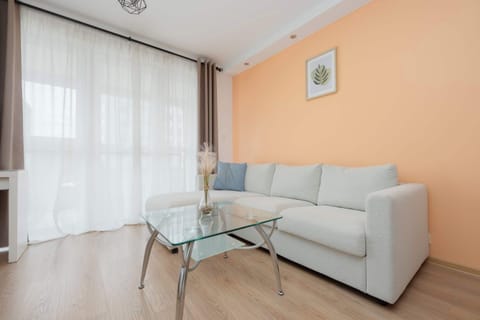 Bright living room with a sofa, coffee table and large windows.