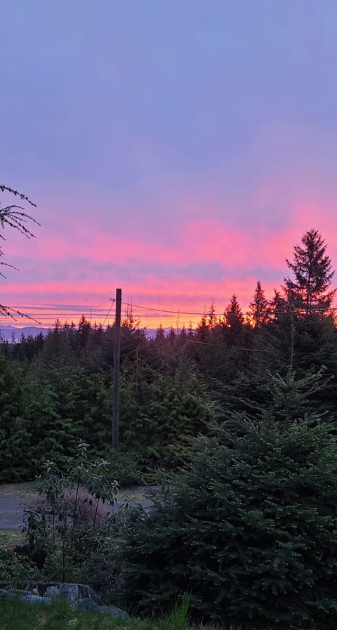 Sunrise  