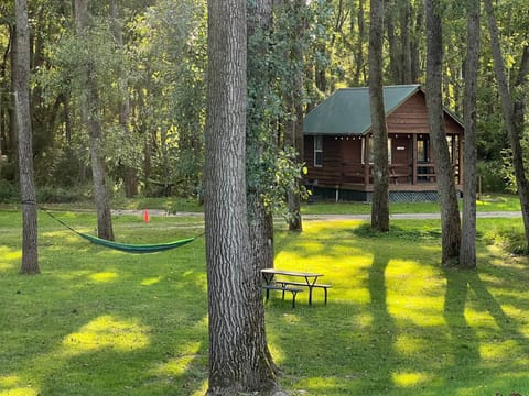 OTRTTW Cabin 1 Front Hammock and Table
