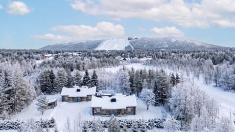 Aerial winter view of the cabin with the front slopes in the distance.