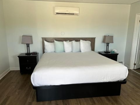 Superior Single Room, 1 King Bed | WiFi (free)