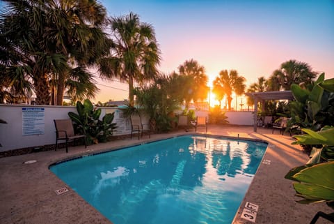 Community pool framed by palms at sunset.