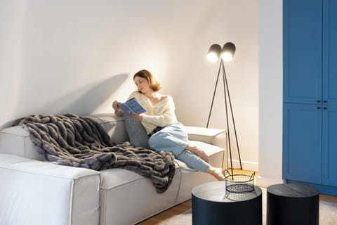 Deluxe Apartment, Non Smoking, Private Bathroom | Living area