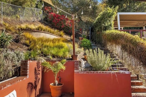 Exterior view of a multi-level mid-century modern home in Hollywood Hills West with lush greenery.