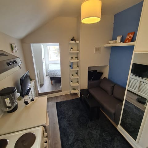 Cozy studio with sofa lounge, bright sleeping nook, and smart layout