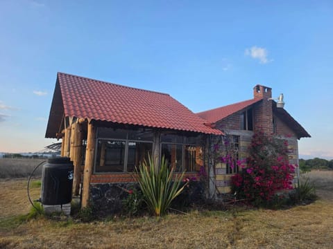 Economy Cabin | Exterior