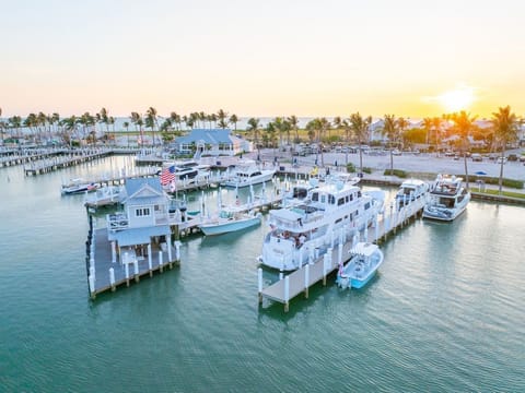 Explore the marina where yachts sit moored along the docks against an open sky.