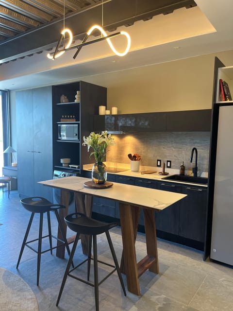 Deluxe Apartment, City View | Private kitchen | Full-size fridge, microwave, oven, stovetop