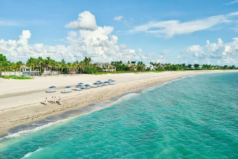 Overhead, the Gulf beach stretches out, sand meeting turquoise shallows.