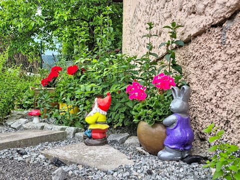 Flower, Garden, Shrub, Lawn Ornament, Petal, Spring