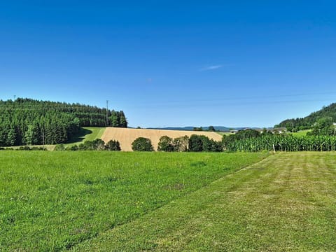 Green, Grass, Grassland, Field, Plain, Natural Landscape, Summer, Landscape, Land Lot, Rural Area