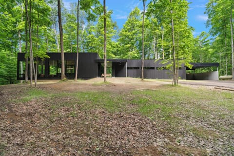Secluded modern woodland retreat with sleek design and serene forest views