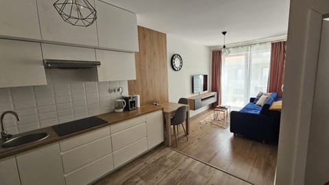 Apartment (27) | Living area | 30-inch flat-screen TV with digital channels