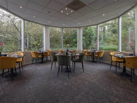 Unwind over dinner with panoramic forest views all around
