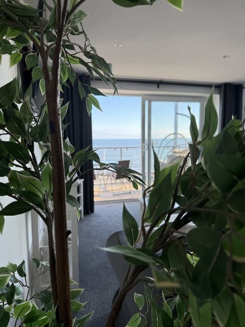 View from lounge