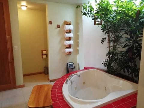 Superior Single Room, 1 King Bed, Jetted Tub | Jetted tub