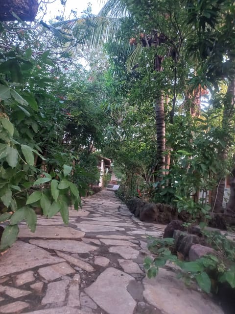 Courtyard view