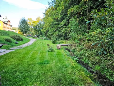 Grass, Green, Nature, Shrub, Landscape, Garden, Rural Area, Land Lot, Groundcover