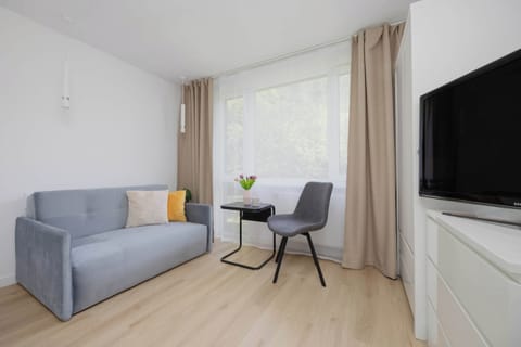 Bright and comfortable studio with a sofa, TV, dining table, and large window overlooking the greenery outside.
