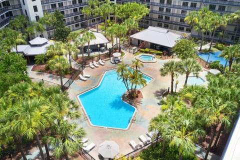 Pool area surrounded by palm trees and lounging chairs.