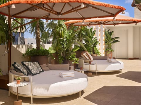 Sun loungers under shade umbrellas, surrounded by potted palms at the outdoor pool terrace