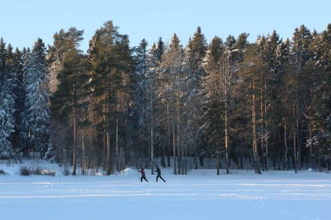 Snow and ski sports