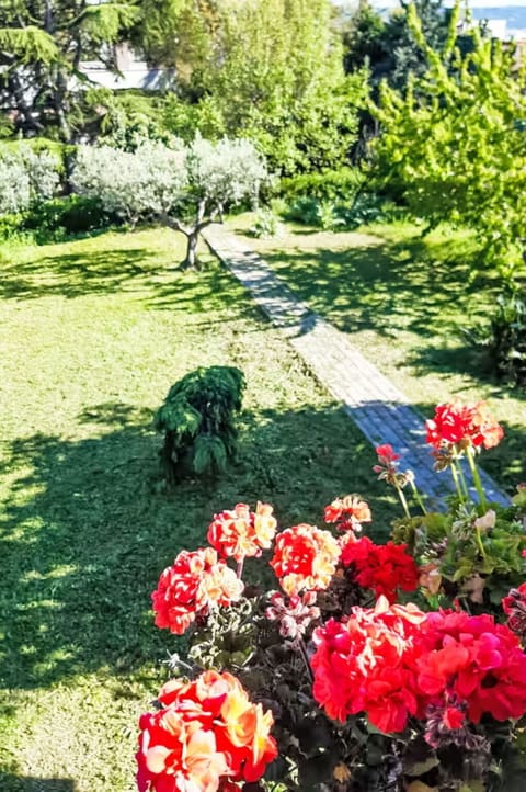 Flower, Green, Petal, Garden, Shrub, Lawn, Spring, Groundcover, Flowering Plant