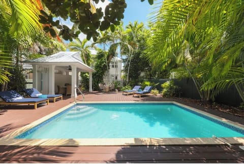 Dive into your private pool oasis framed by tropical palms.