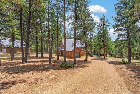 Elk Trail driveway