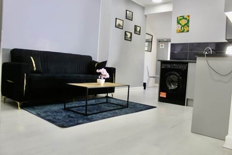 interior, indoor, couch, living area, laundry