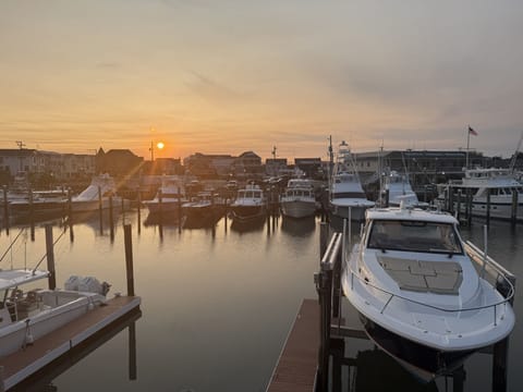 Marina