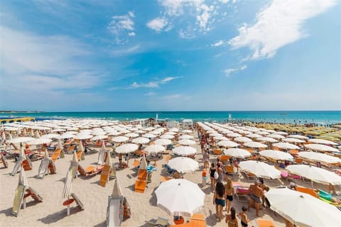 Private beach nearby, white sand, free beach shuttle, sun loungers
