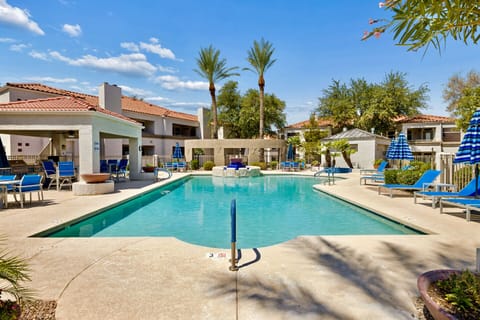 Resort-style pool with palm trees, loungers, and sunny courtyard vibes