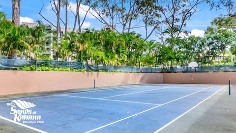 Sport court