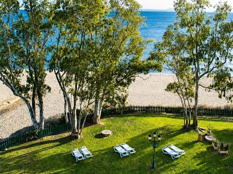 Sunbathe on the beachfront lawn, just steps from the sand — sun loungers set beneath shady trees with direct sea views.